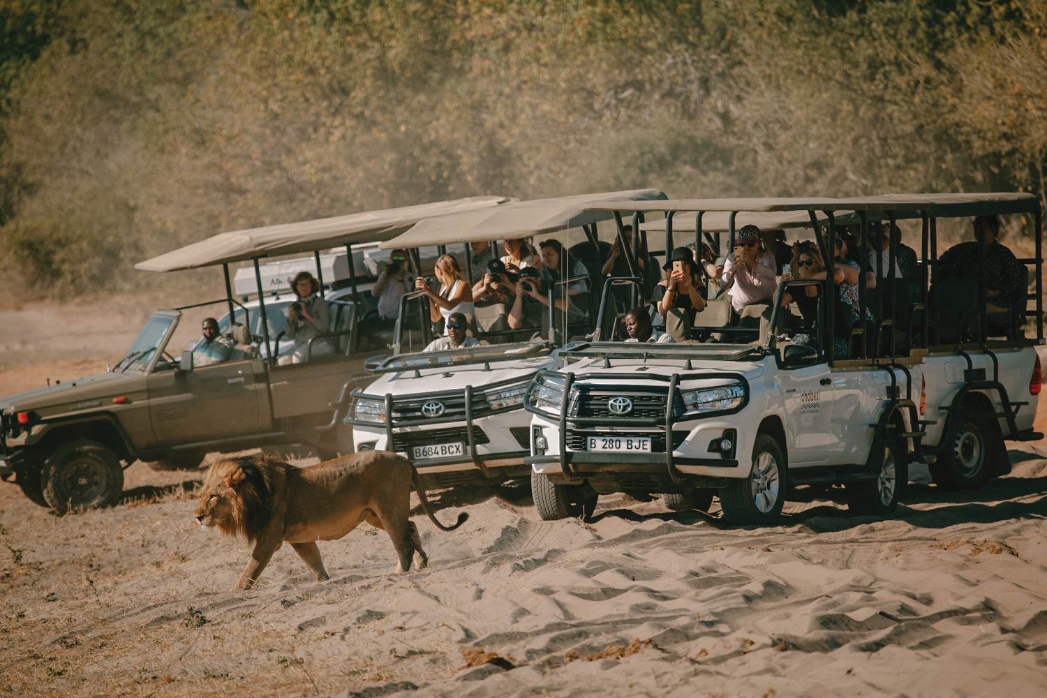 Victoria falls adventures game drives and chobe national park