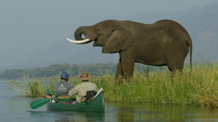Canoeing & Kayaking