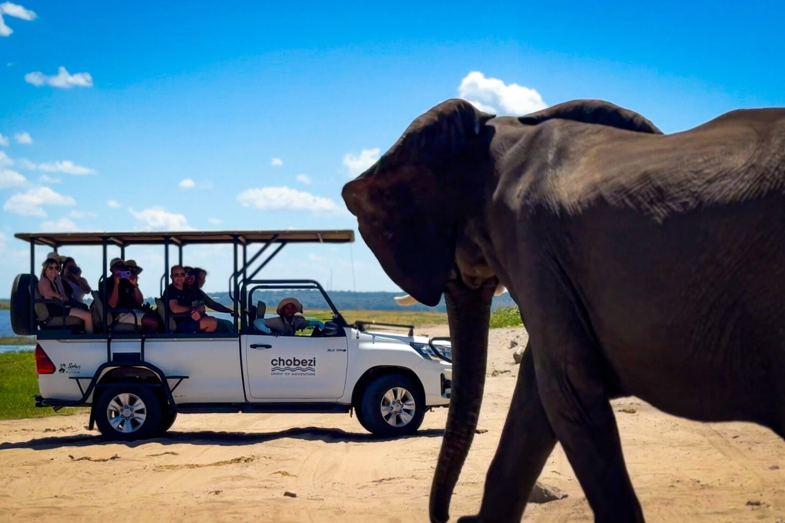 Chobe National Park Day Trip