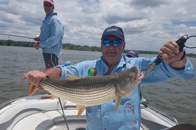 Tiger Fishing