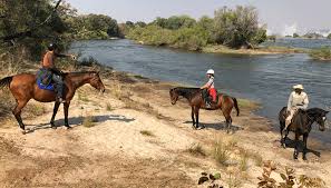 Horse back Safari